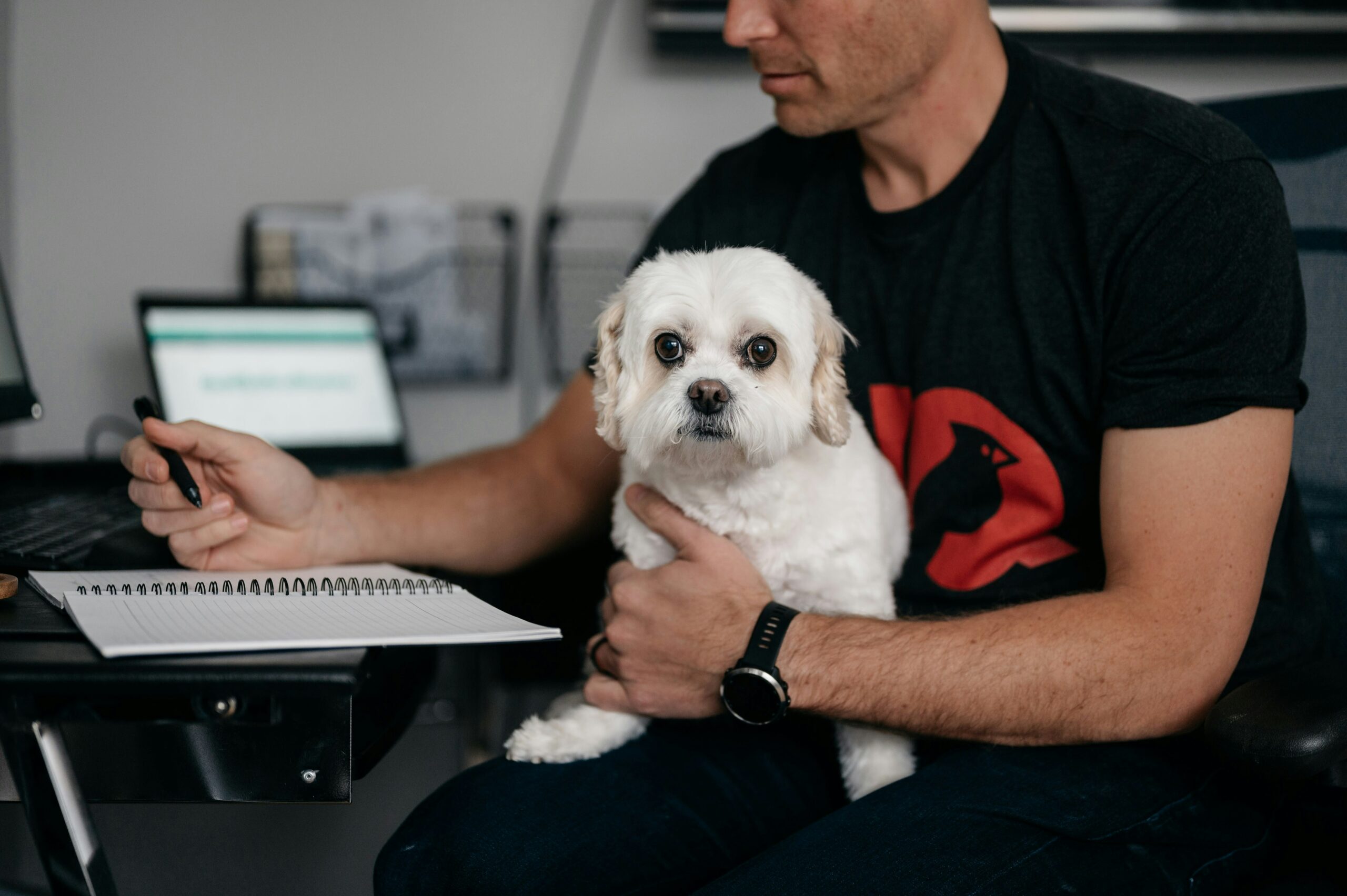 Accident-Only vs. Accident & Illness Pet Insurance: Which Is Right for Your Pet?