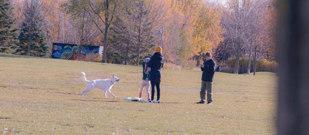 Pet owner choosing the right pet insurance policy for their dog