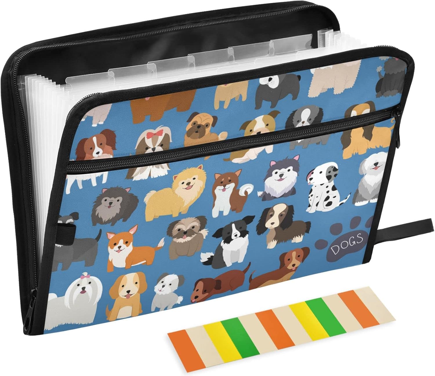 Pet medical record organizer folder for storing vaccination and insurance paperwork