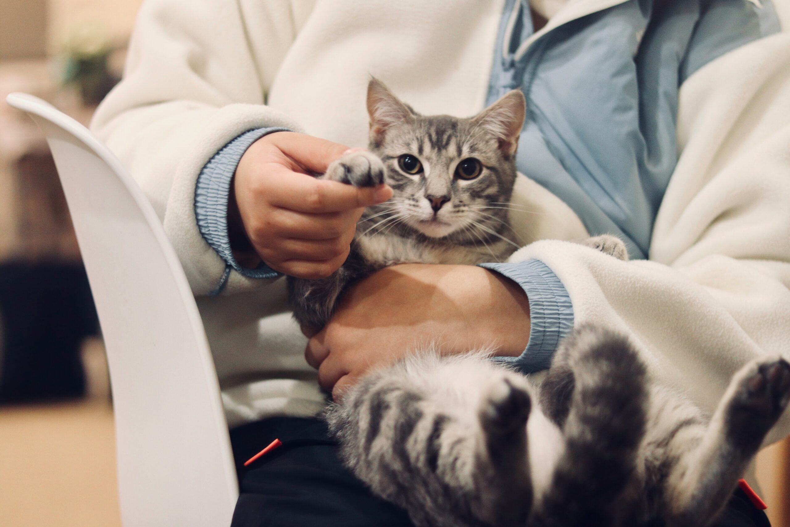 How Much Does a Vet Visit Really Cost in 2026? A Full Price Breakdown